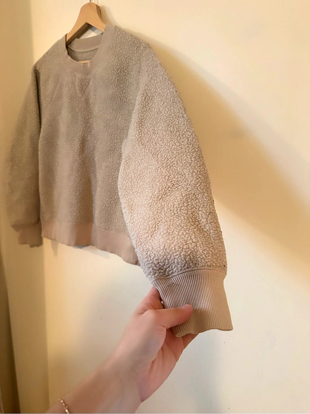Everlane ReNew Sherpa Crewneck